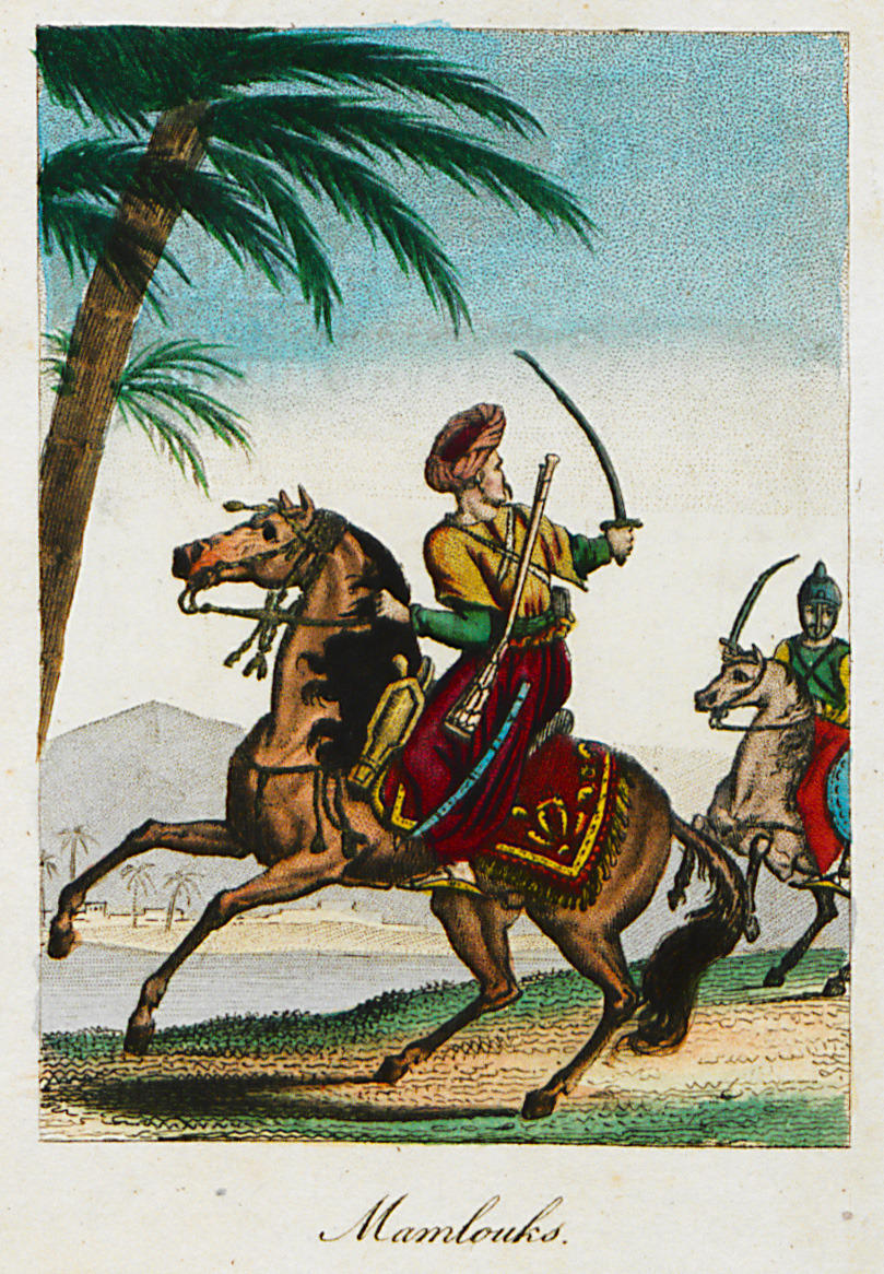 Histoire des Othomans.