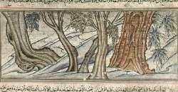 The Grove of Jetavana, where the Buddha achieved Enlightenment, f36b/276b