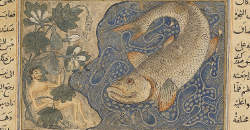 Yunus and the Whale, f23v